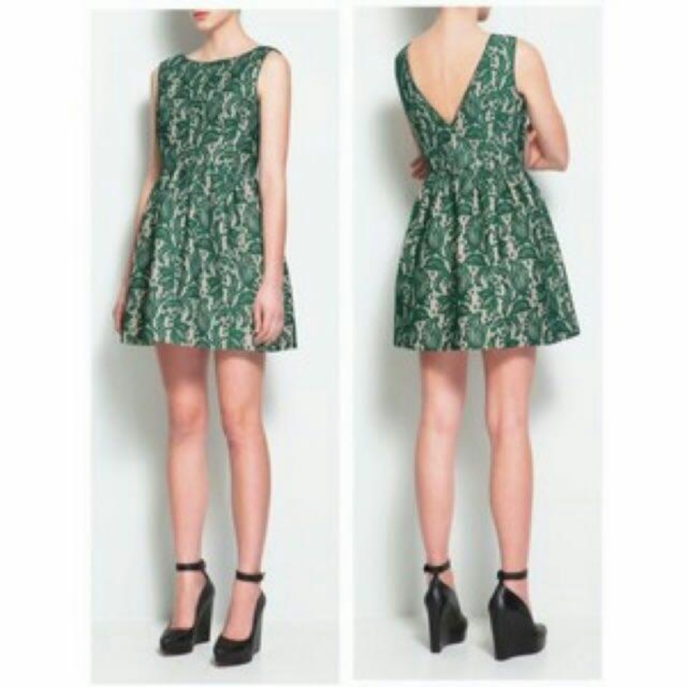 Zara | green lace tulip dress